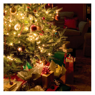 ChristmasTree.jpg